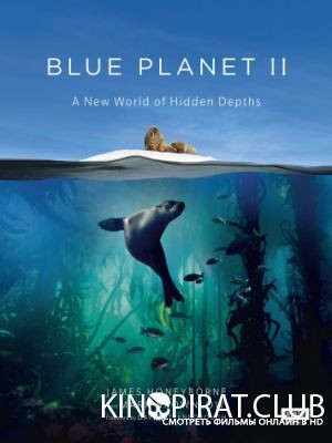 BBC: Голубая планета 2  