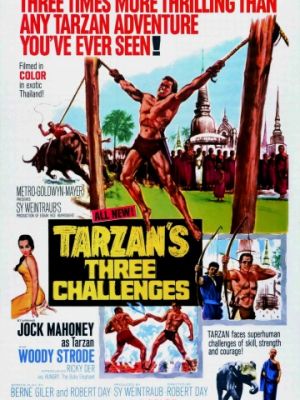 Три испытания Тарзана / Tarzan's Three Challenges (1963)