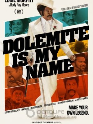 Меня зовут Долемайт / Dolemite Is My Name (2019)