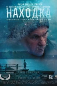 Находка (2015)