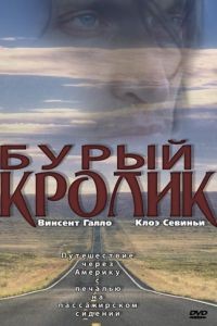 Бурый кролик / The Brown Bunny (2003)