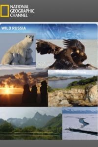 Дикая природа России / Wildes Russland (2008)