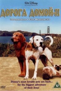 Дорога домой 2: Затерянные в Сан-Франциско / Homeward Bound II: Lost in San Francisco (1996)