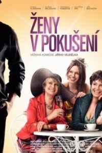 Женщины в соблазне / Zeny v pokuseni (2010)