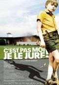 Клянусь, это не я / C'est pas moi, je le jure! (2008)