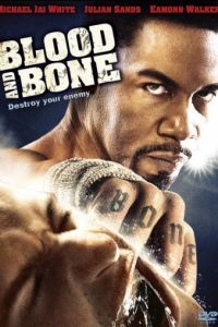 Кровь и кость / Blood and Bone (2009)