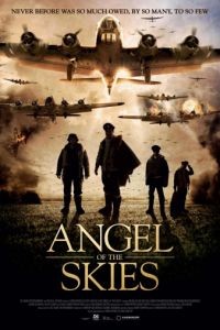 Крылья славы / Angel of the Skies (2013)