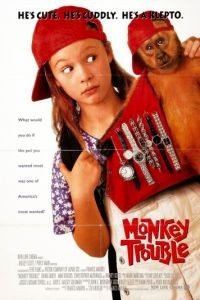 Неприятности с обезьянкой / Monkey Trouble (1994)