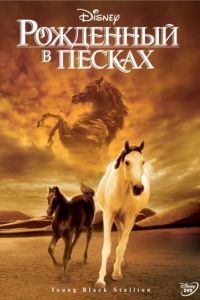 Рожденный в песках / The Young Black Stallion (2003)