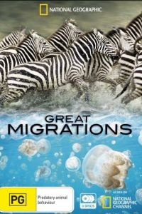 National Geographic. Великие миграции  