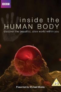 Внутри человеческого тела  