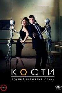 Кости  