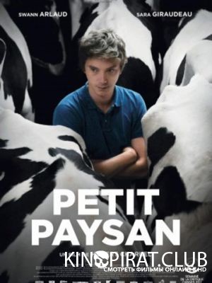 Мелкий фермер / Petit paysan (2017)