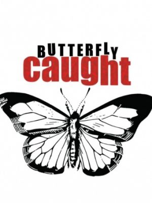 Поймать бабочку / Butterfly Caught (2017)
