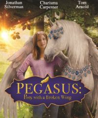 Пони с перебитым крылом / Pegasus: Pony with a Broken Wing (2019)