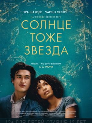 Солнце тоже звезда / The Sun Is Also a Star (2019)